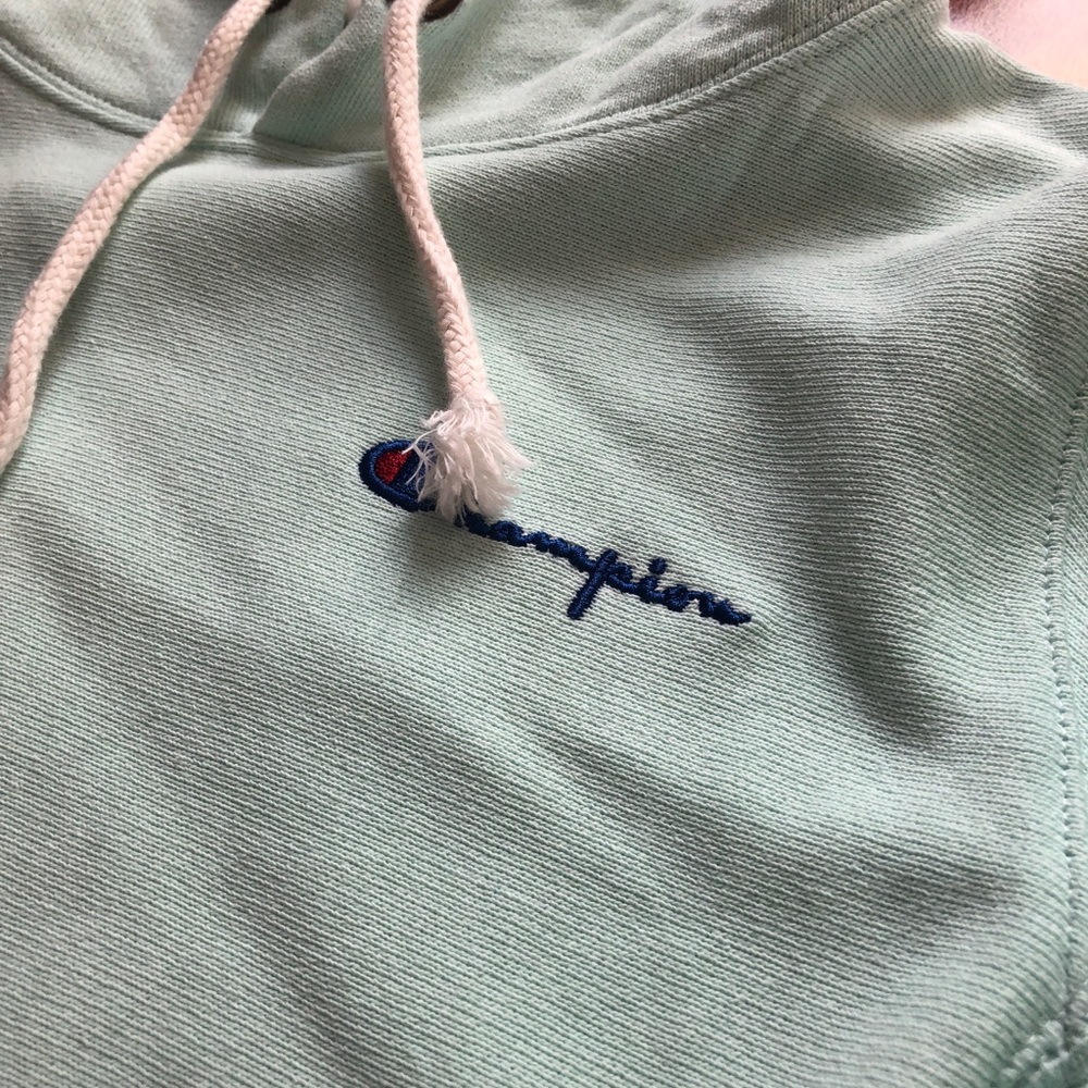 Champion Reverse Weave Small Script Hoodie Hemlock - Picture 4 of 11